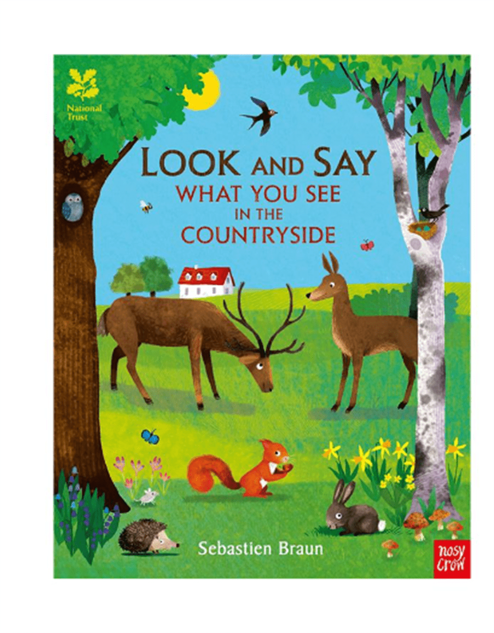 What You See in the Countryside resmi