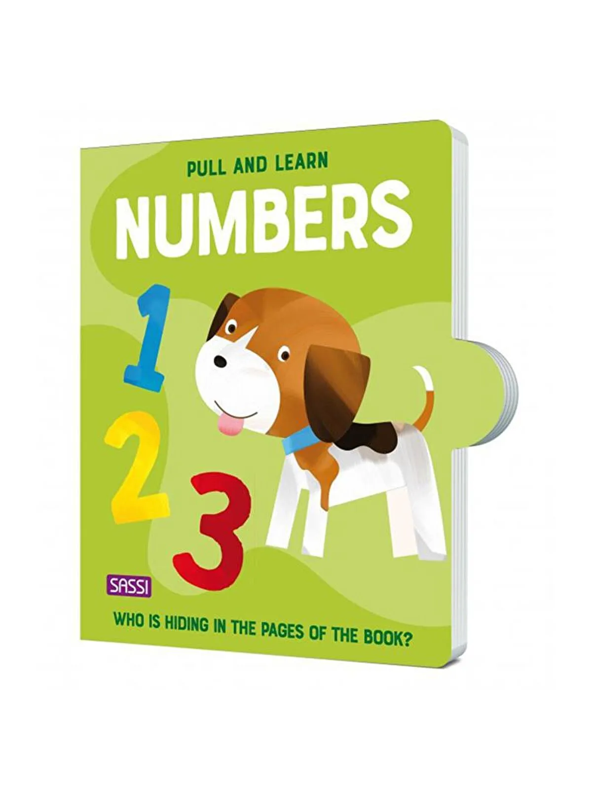 PULL AND LEARN NUMBERS resmi