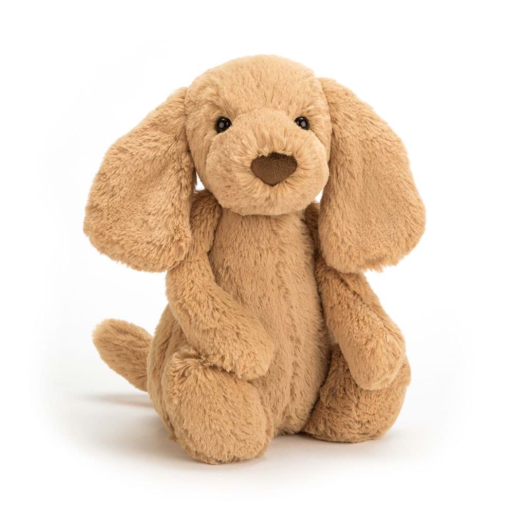 Bashful Toffee Puppy resmi